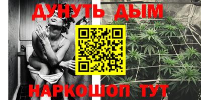 МДПВ Гагарин