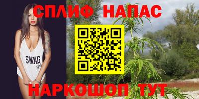МДПВ Гагарин