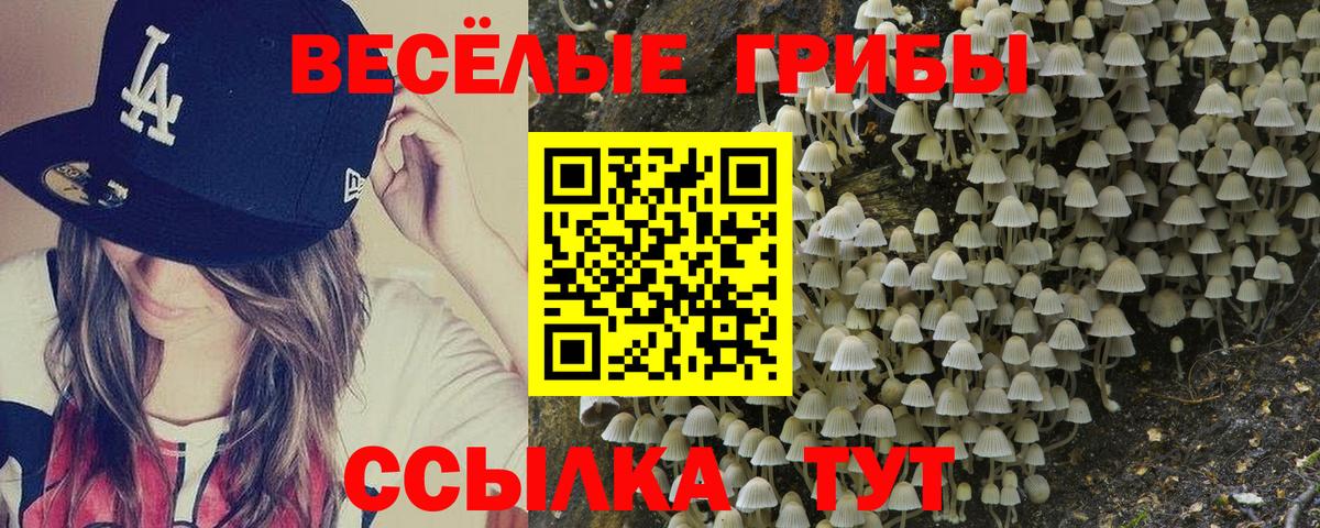 Галлюциногенные грибы GOLDEN TEACHER Лесосибирск